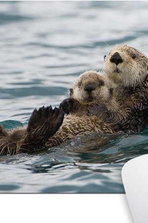 Cute Sea Otters Mouse Pad Nature Animal Playing Water Funny Mouse Pads