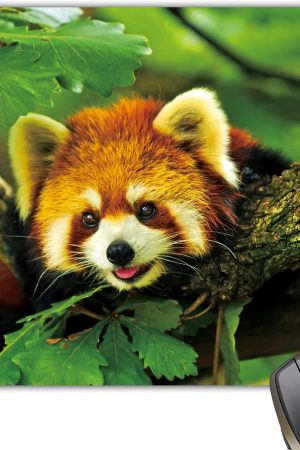 Cute red Panda Forest Animal Mouse Pad Mat Mousepad 8.6 X 7.1 in